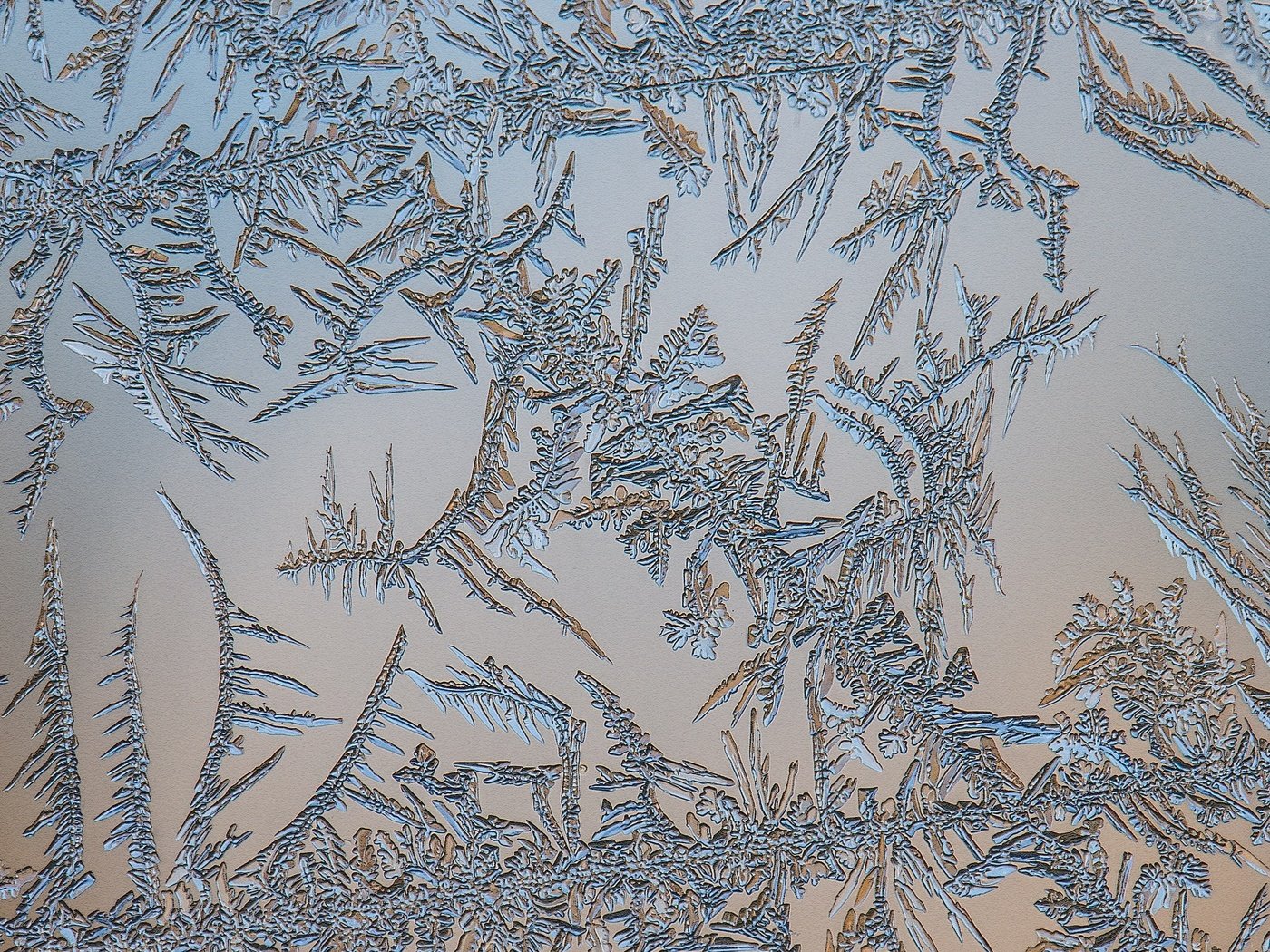 Обои рисунок, узор, мороз, стекло, figure, pattern, frost, glass разрешение 3072x4608 Загрузить