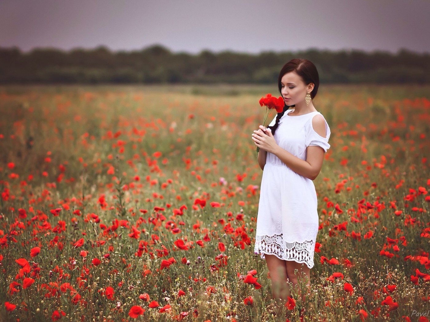 Обои девушка, платье, поле, красные, маки, руки, белое платье, girl, dress, field, red, maki, hands, white dress разрешение 2048x1364 Загрузить