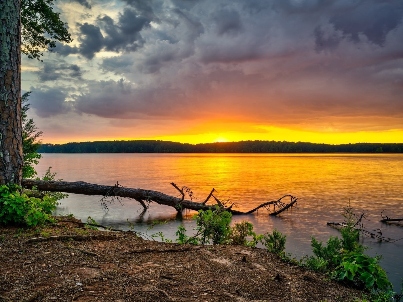 Обои небо, west point lake, деревья, река, лес, тучи, рассвет, сша, грузия, the sky, trees, river, forest, clouds, dawn, usa, georgia разрешение 1920x1200 Загрузить