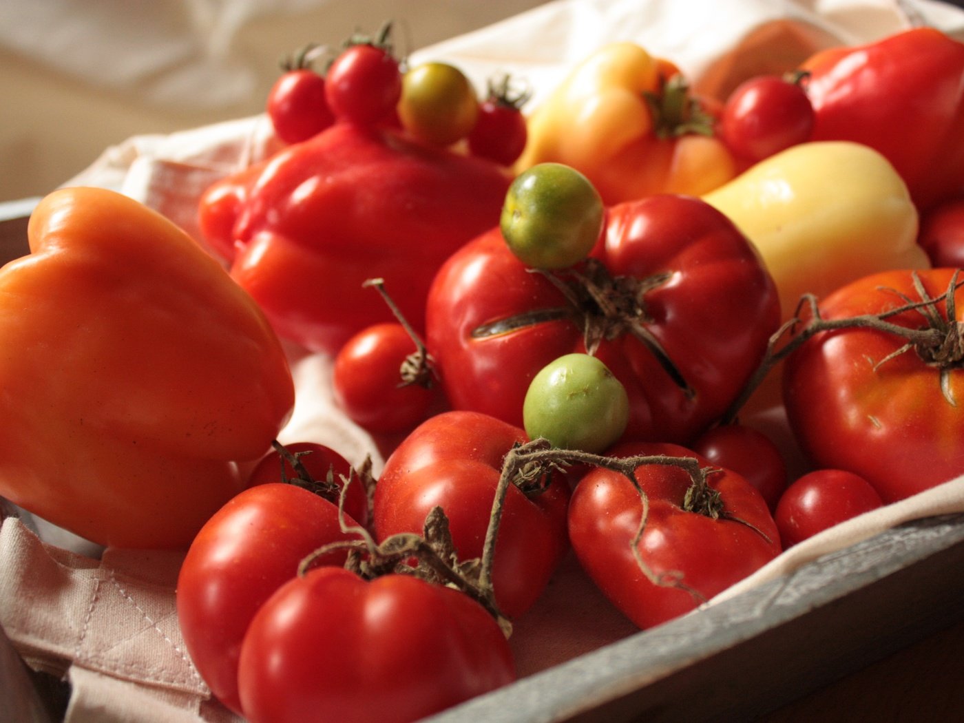 Обои овощи, помидоры, перец, томаты, болгарский, сладкий перец, vegetables, tomatoes, pepper, bulgarian, sweet pepper разрешение 4272x2848 Загрузить