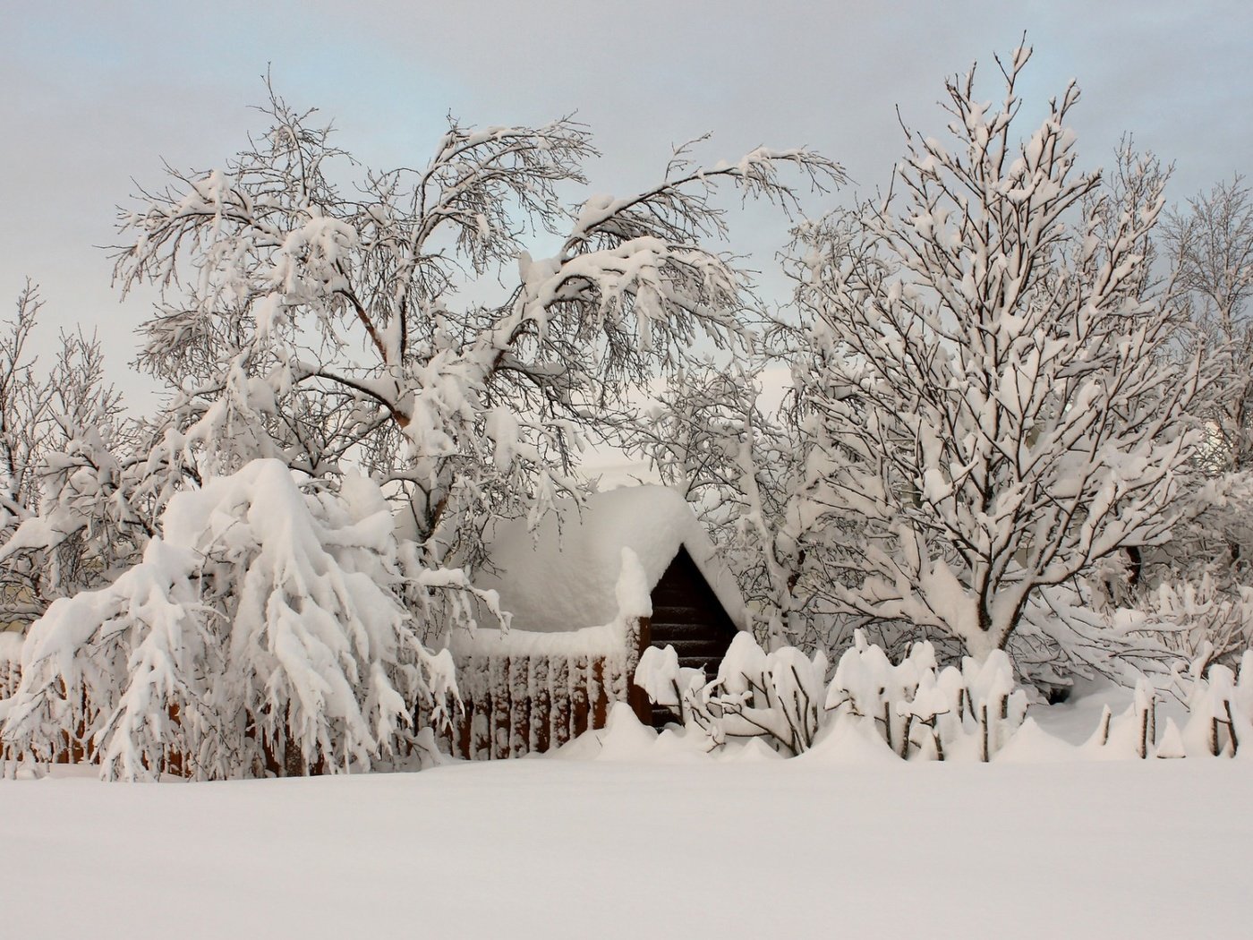 Обои деревья, снег, природа, зима, деревня, домик, trees, snow, nature, winter, village, house разрешение 1920x1200 Загрузить