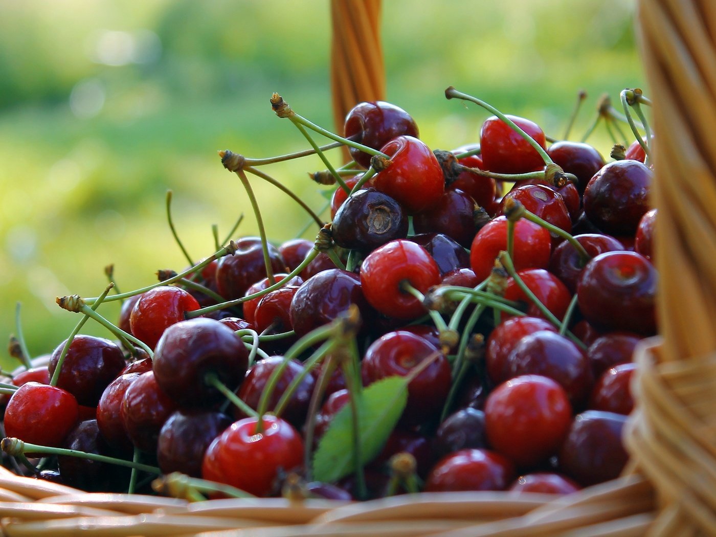 Обои фон, черешня, ягоды, вишня, корзинка, лукошко, background, cherry, berries, basket разрешение 3272x1841 Загрузить