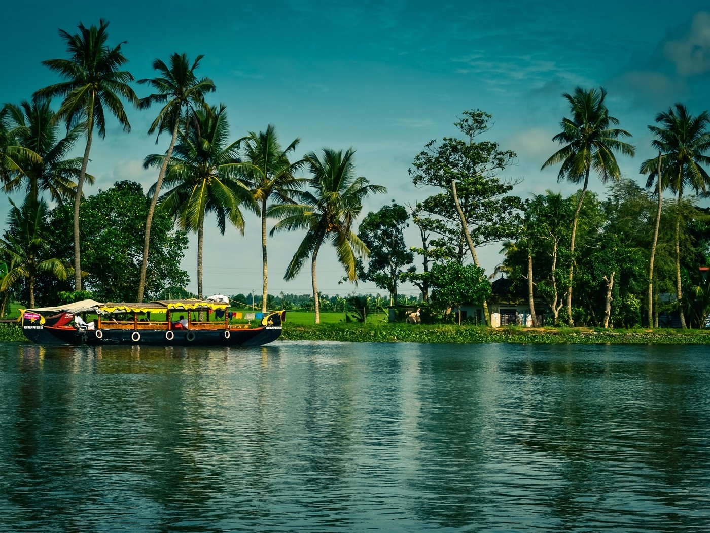 Обои деревья, kerala, alappuzha, река, солнце, зелень, домики, лодка, пальмы, индия, trees, river, the sun, greens, houses, boat, palm trees, india разрешение 2700x1795 Загрузить