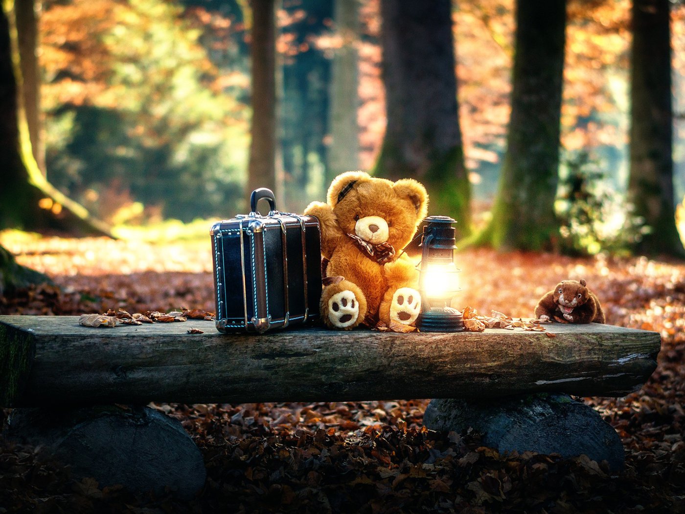 Обои лес, мишка, игрушка, фонарь, чемодан, forest, bear, toy, lantern, suitcase разрешение 1920x1200 Загрузить