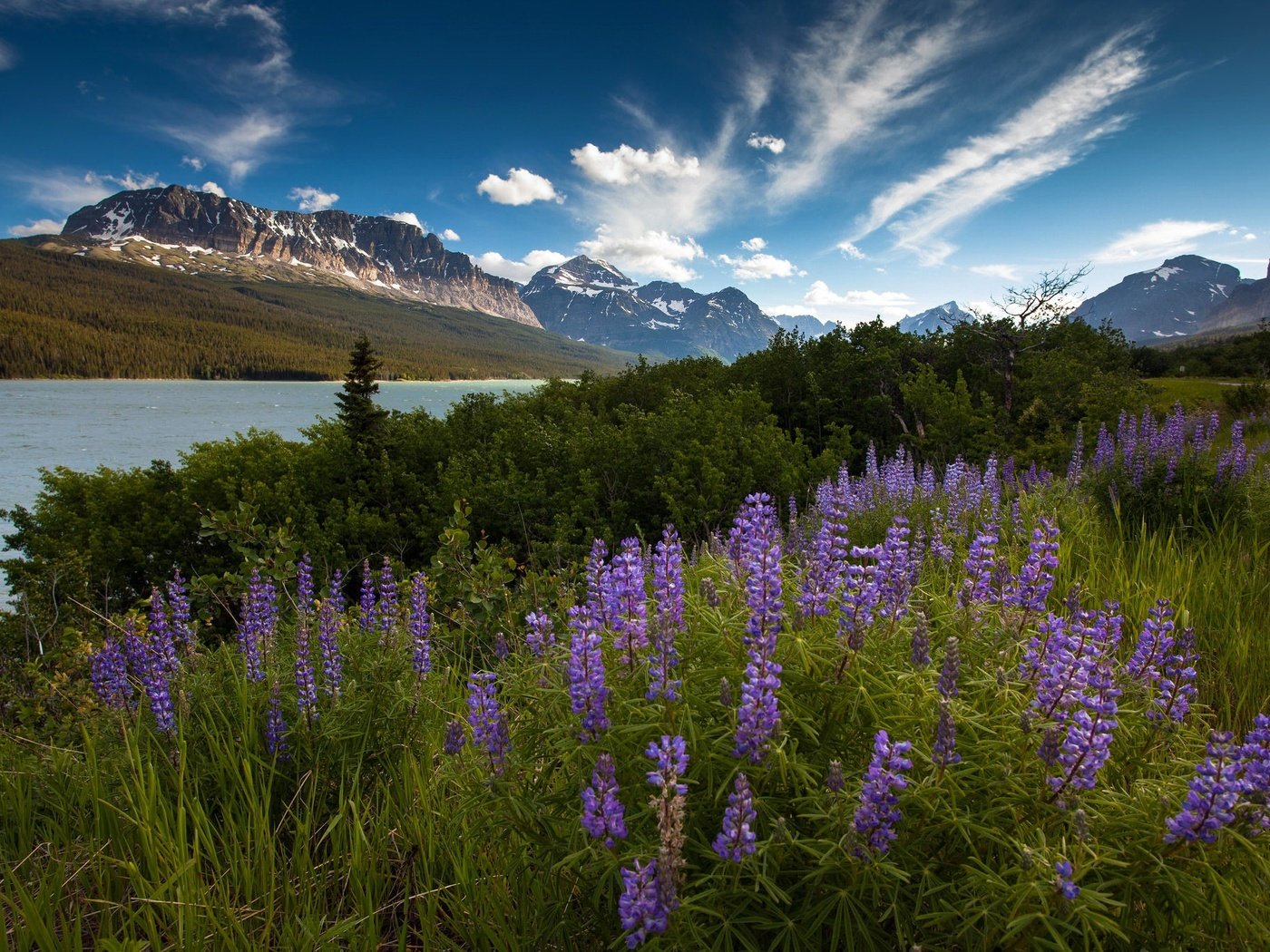 Обои небо, цветы, облака, река, горы, утро, лето, the sky, flowers, clouds, river, mountains, morning, summer разрешение 2048x1365 Загрузить