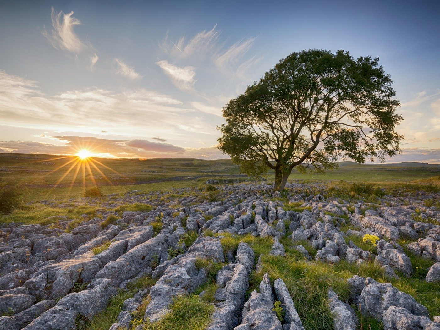 Обои небо, свет, облака, солнце, дерево, камни, утро, поле, the sky, light, clouds, the sun, tree, stones, morning, field разрешение 2560x1707 Загрузить