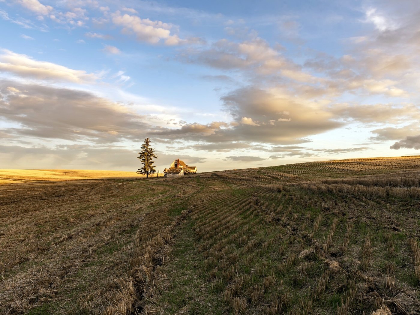 Обои небо, дом, свет, облака, природа, дерево, утро, поле, горизонт, the sky, house, light, clouds, nature, tree, morning, field, horizon разрешение 2048x1367 Загрузить