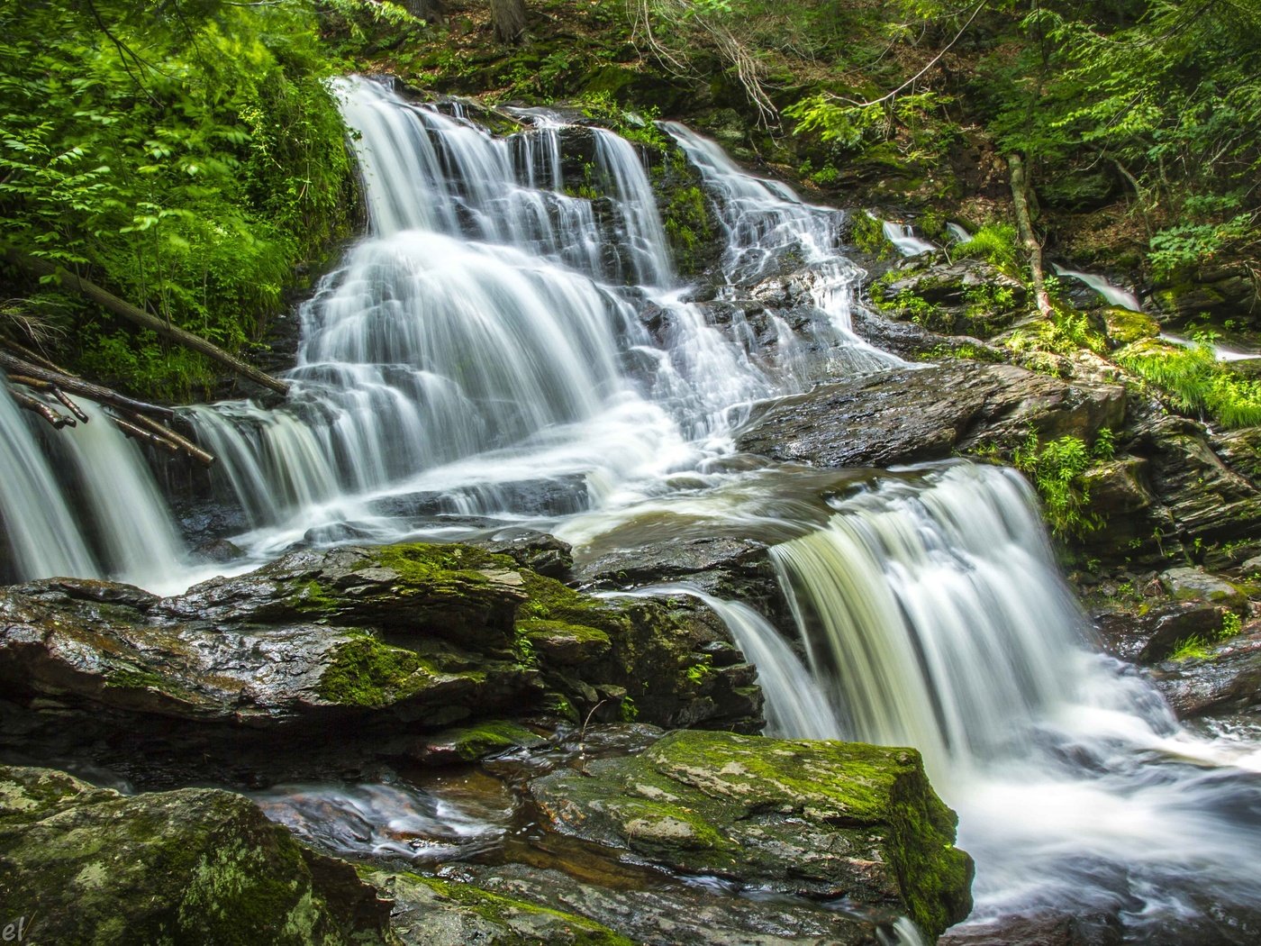 Обои вода, камни, лес, водопад, поток, water, stones, forest, waterfall, stream разрешение 3600x2400 Загрузить