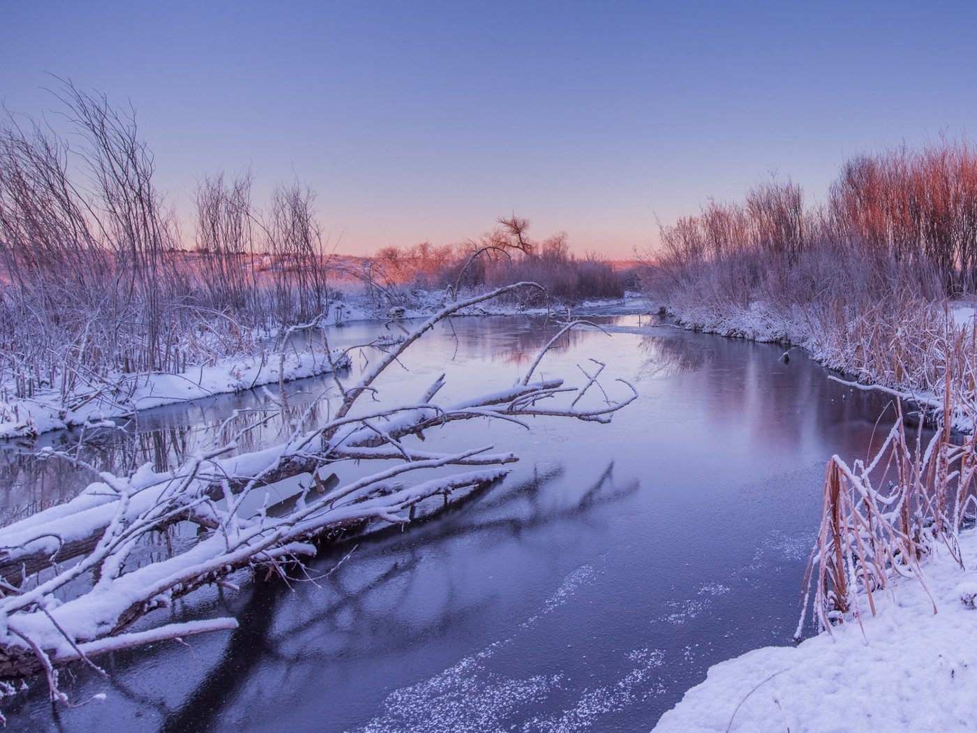 Обои река, снег, природа, зима, пейзаж, стволы, кусты, river, snow, nature, winter, landscape, trunks, the bushes разрешение 1920x1200 Загрузить