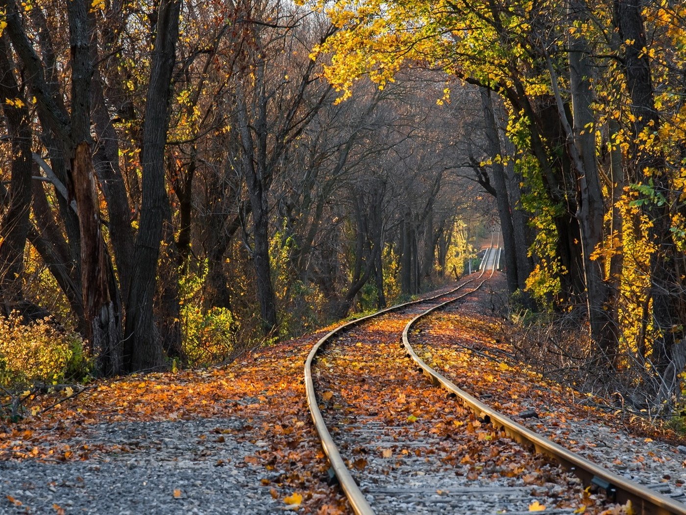 Обои деревья, железная дорога, рельсы, природа, лес, листья, парк, осень, trees, railroad, rails, nature, forest, leaves, park, autumn разрешение 1920x1080 Загрузить