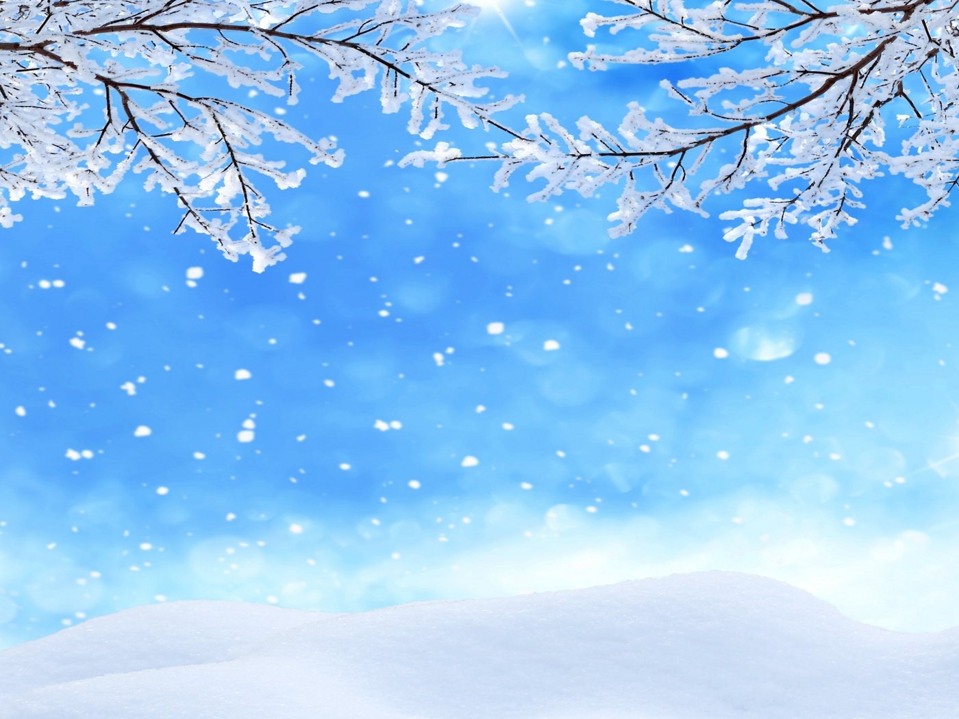 Обои снег, зима, макро, ветки, snow, winter, macro, branches разрешение 2880x1800 Загрузить