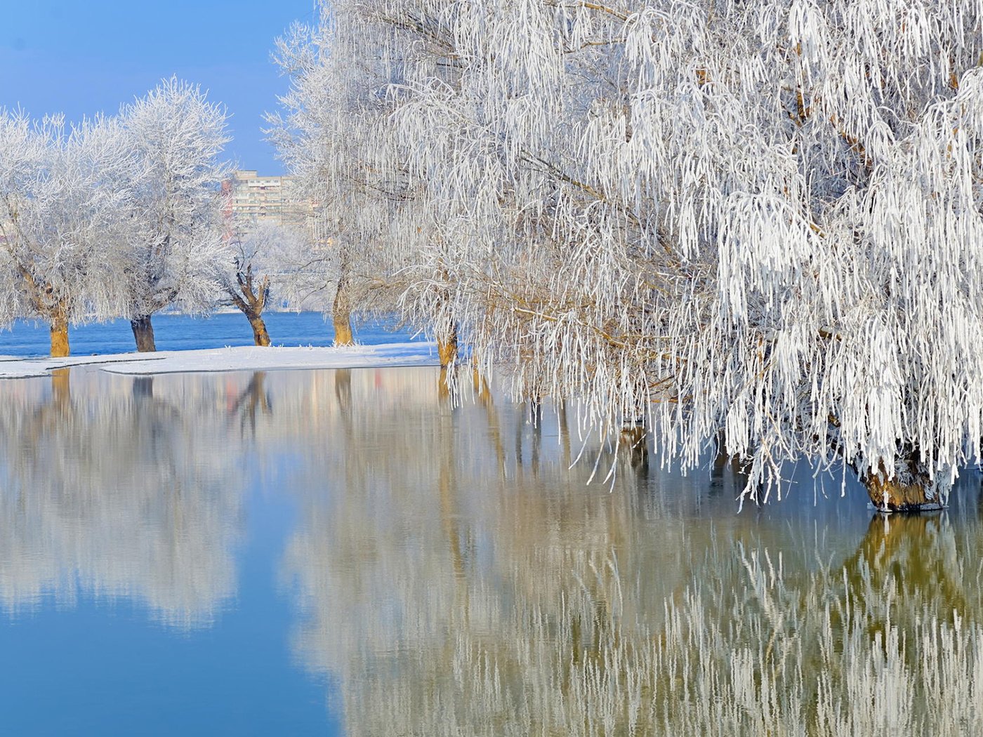 Обои деревья, ordache, озеро, природа, зима, отражение, пейзаж, иней, ивы, trees, lake, nature, winter, reflection, landscape, frost, willow разрешение 1920x1200 Загрузить