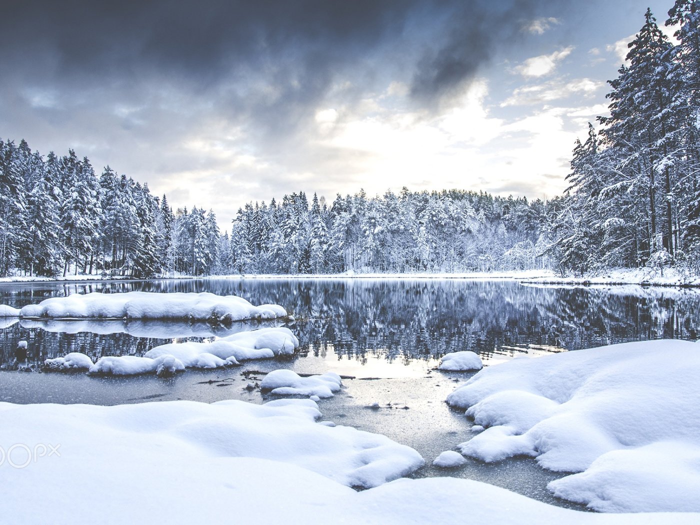 Обои деревья, река, снег, природа, лес, зима, aamarius kaniewskis, trees, river, snow, nature, forest, winter разрешение 1920x1200 Загрузить