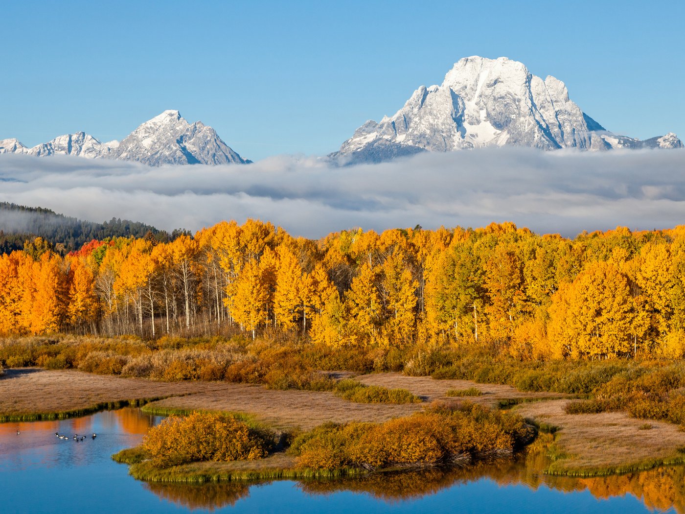 Обои небо, осень, деревья, река, горы, природа, лес, пейзаж, туман, the sky, autumn, trees, river, mountains, nature, forest, landscape, fog разрешение 3840x2400 Загрузить