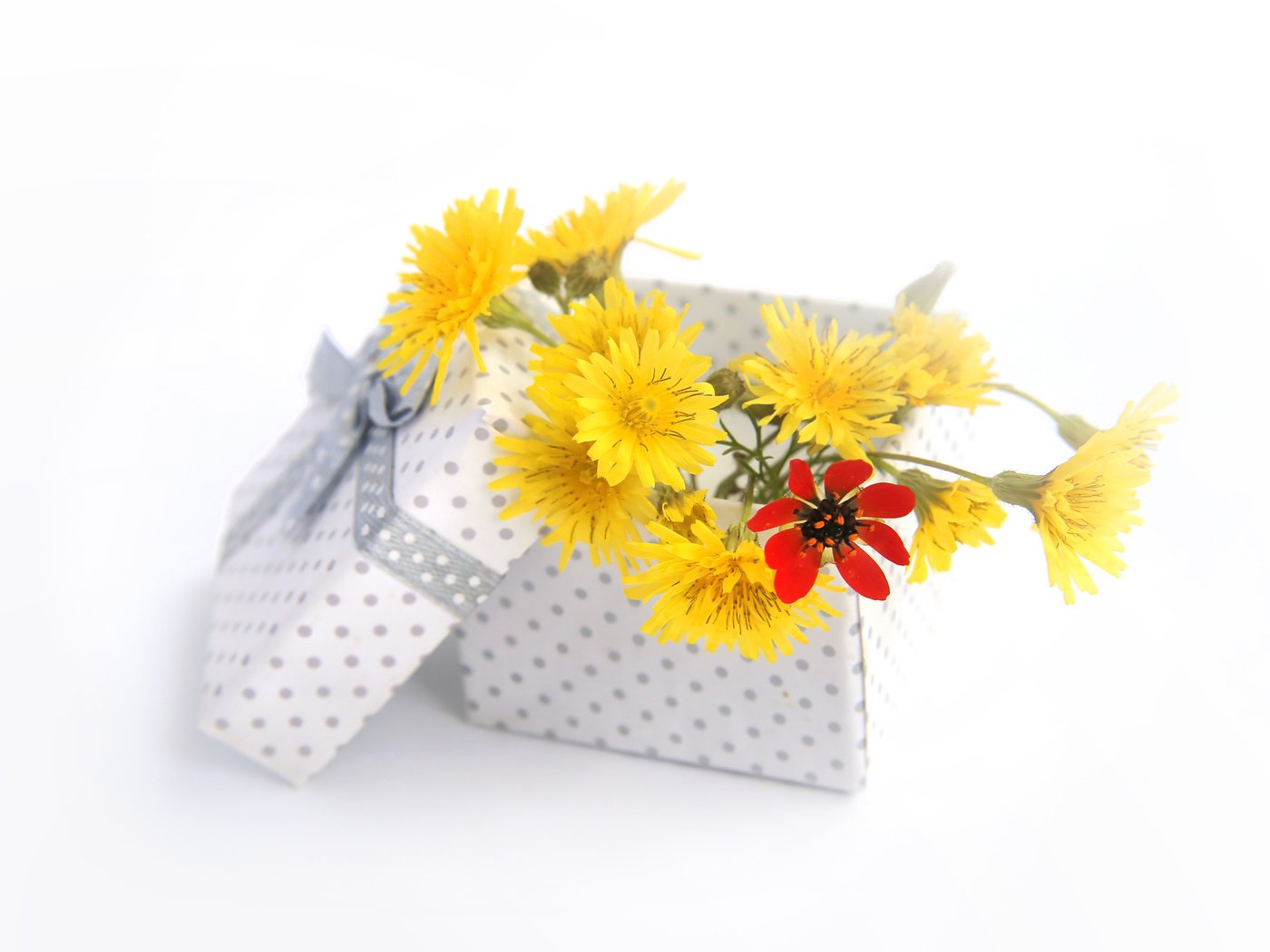 Обои цветы, букет, подарок, коробка, flowers, bouquet, gift, box разрешение 4186x3472 Загрузить