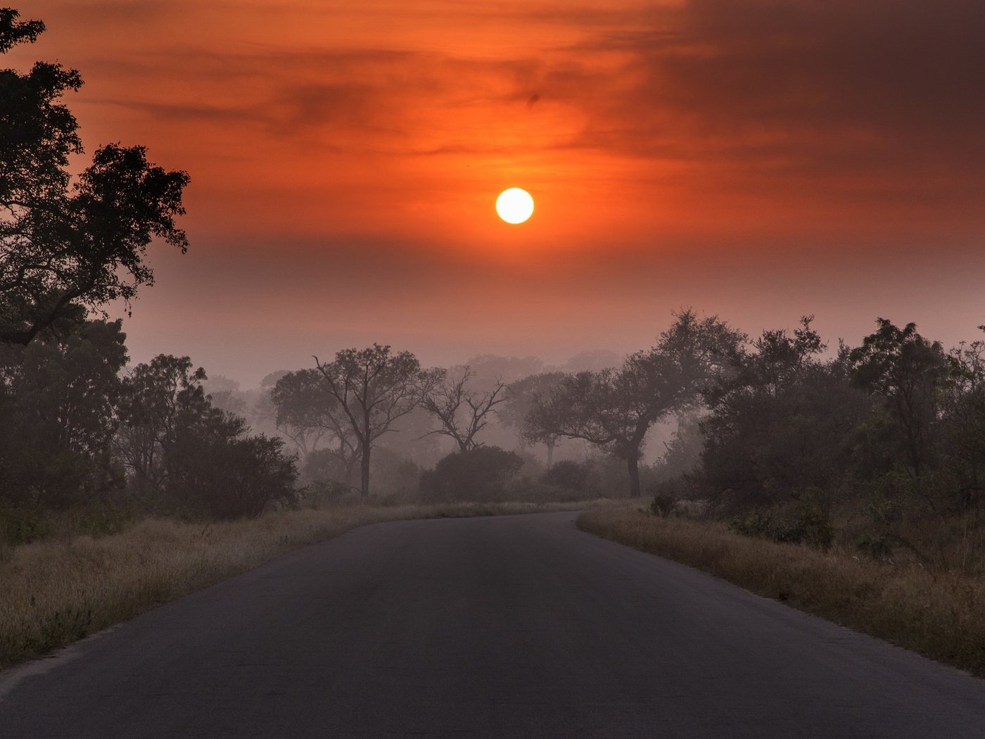 Обои дорога, облака, деревья, солнце, закат, пейзаж, туман, сумерки, road, clouds, trees, the sun, sunset, landscape, fog, twilight разрешение 2048x1118 Загрузить