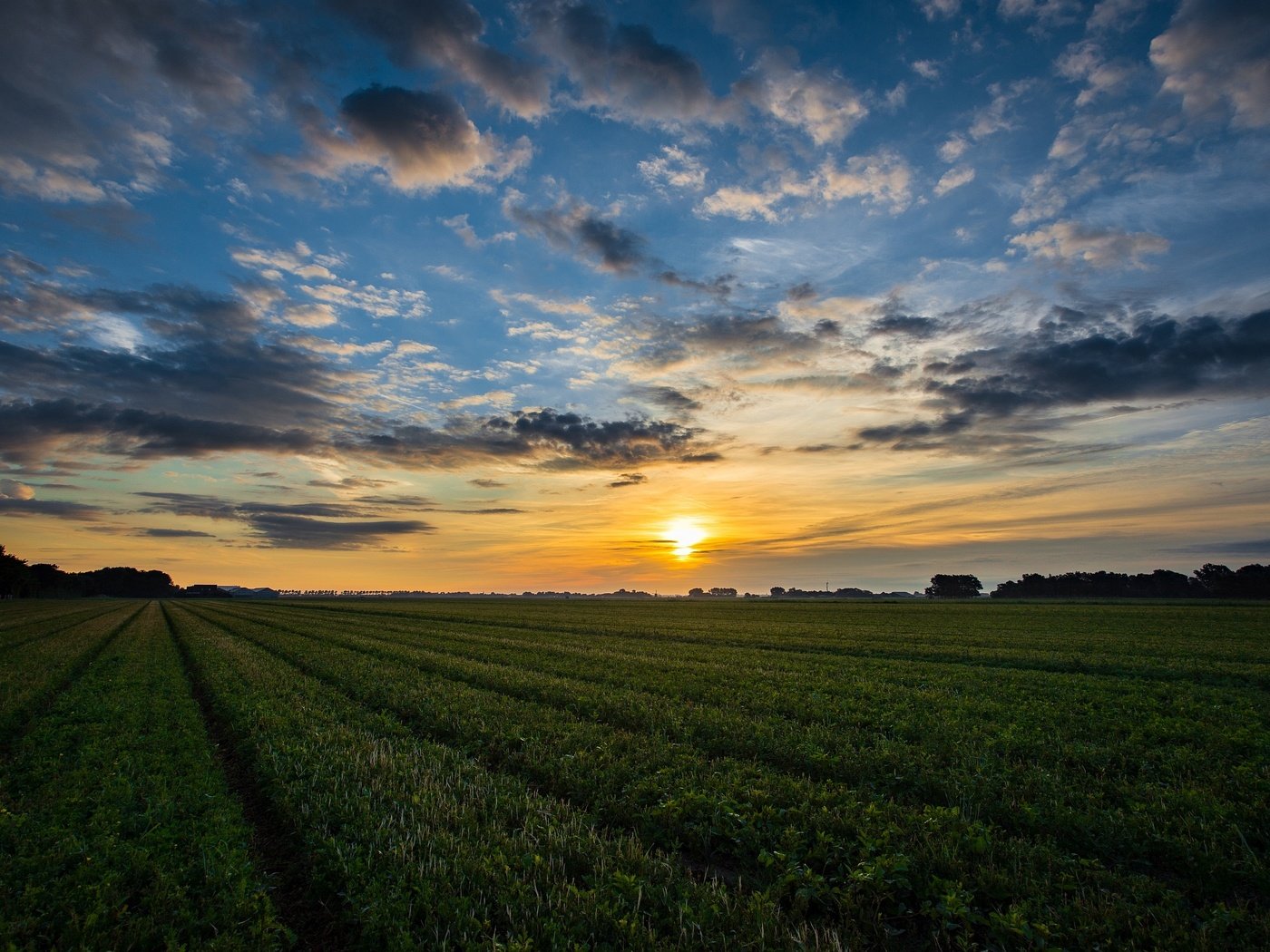 Обои небо, ферма, облака, восход, солнце, природа, пейзаж, поле, горизонт, the sky, farm, clouds, sunrise, the sun, nature, landscape, field, horizon разрешение 2500x1669 Загрузить