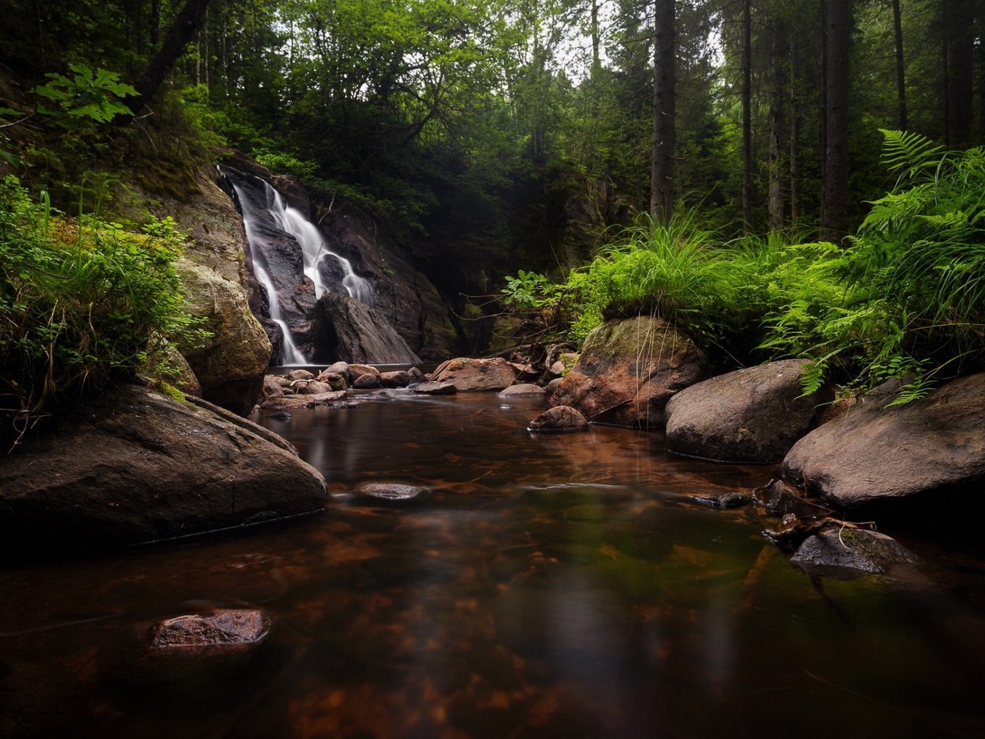 Обои деревья, озеро, камни, лес, ручей, водопад, речка, trees, lake, stones, forest, stream, waterfall, river разрешение 1920x1200 Загрузить