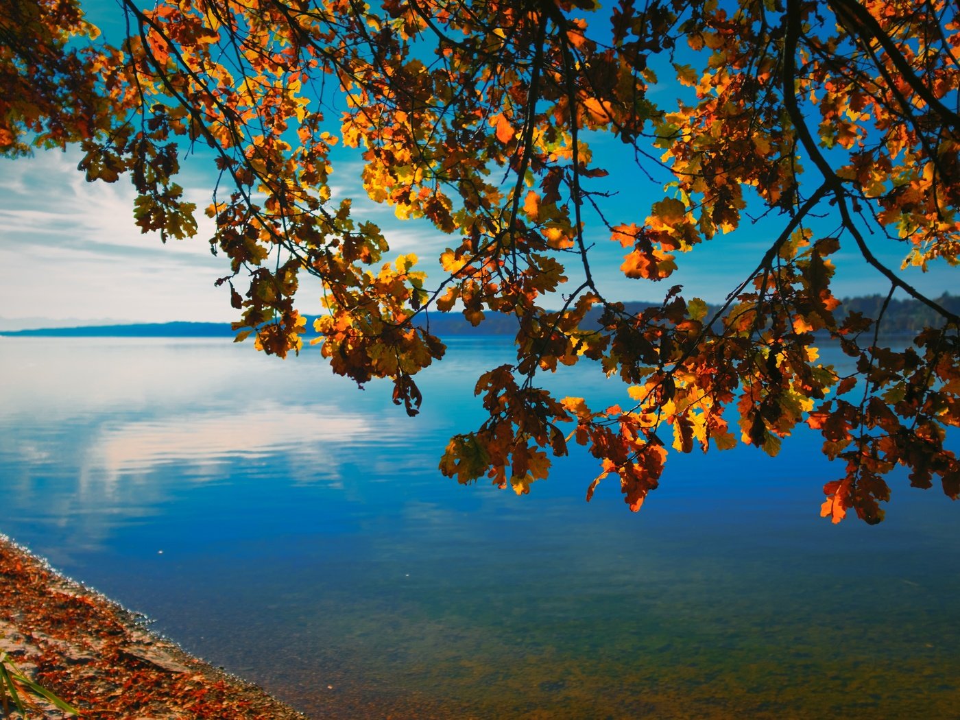 Обои небо, природа, дерево, берег, листья, ветки, горизонт, осень, the sky, nature, tree, shore, leaves, branches, horizon, autumn разрешение 4744x3163 Загрузить