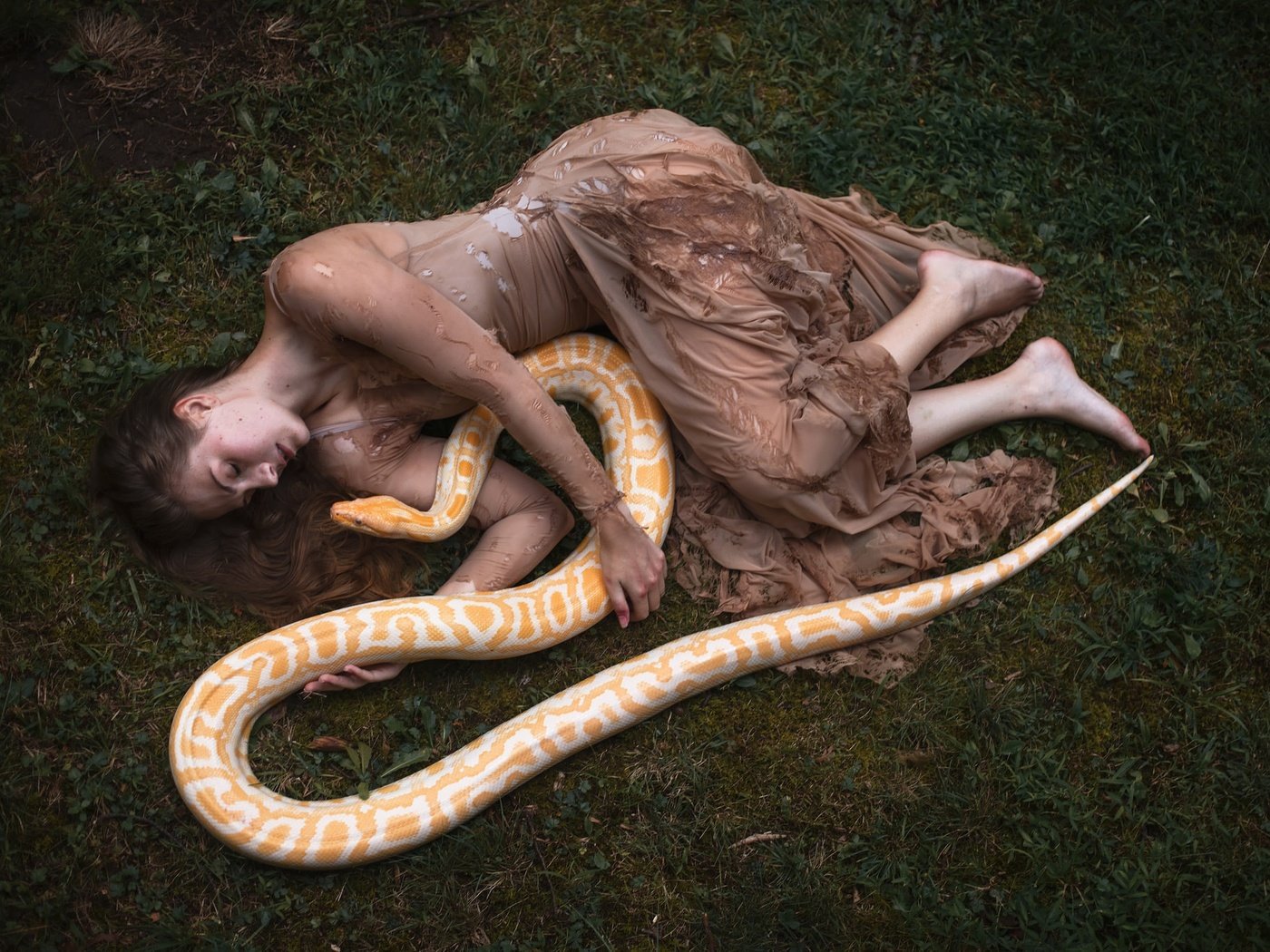 Обои девушка, платье, модель, змея, рептилия, закрытые глаза, aleah michele, girl, dress, model, snake, reptile, closed eyes разрешение 2048x1365 Загрузить