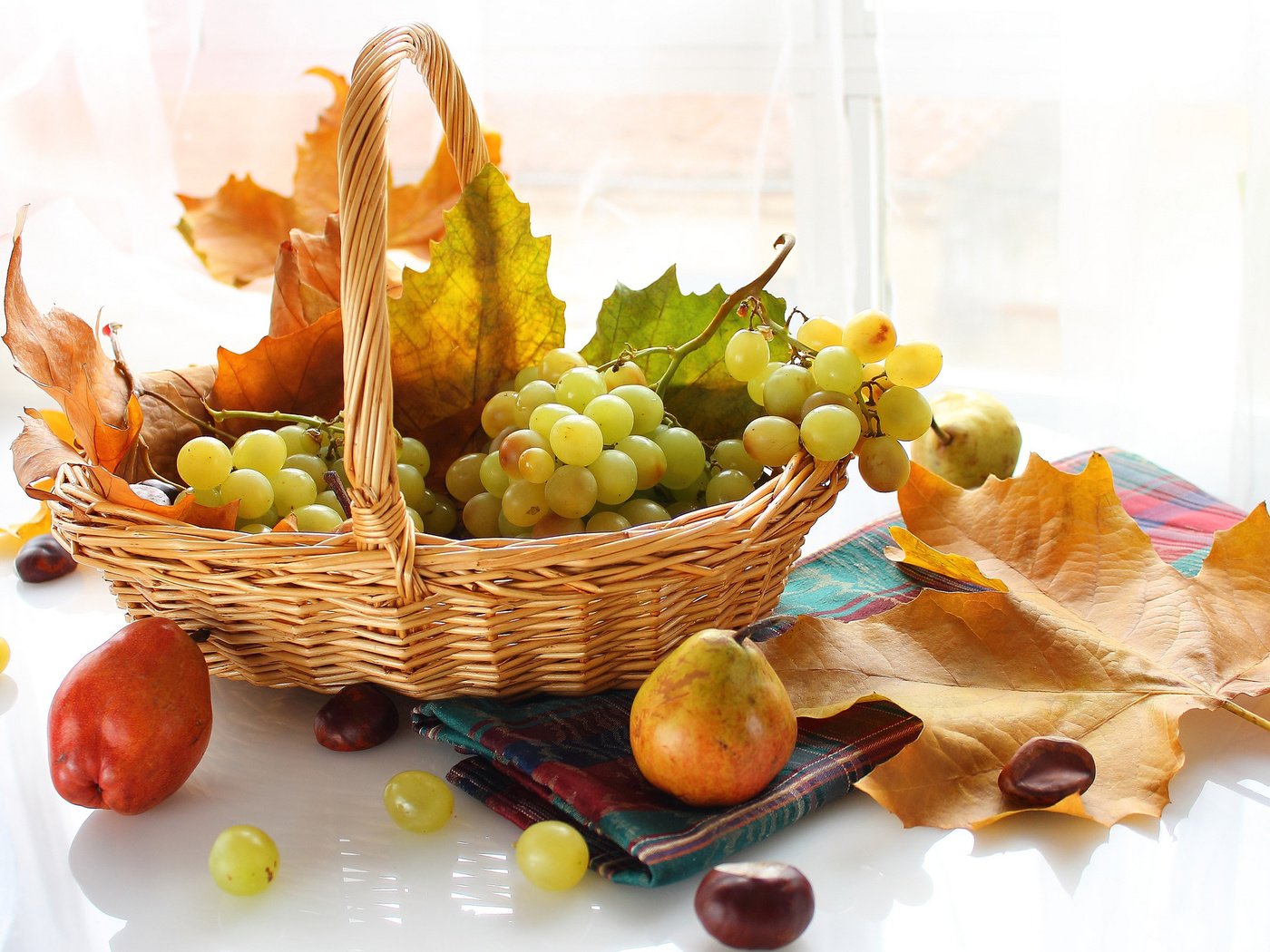 Обои листья, виноград, фрукты, осень, корзина, ягоды, клен, груши, leaves, grapes, fruit, autumn, basket, berries, maple, pear разрешение 2048x1380 Загрузить