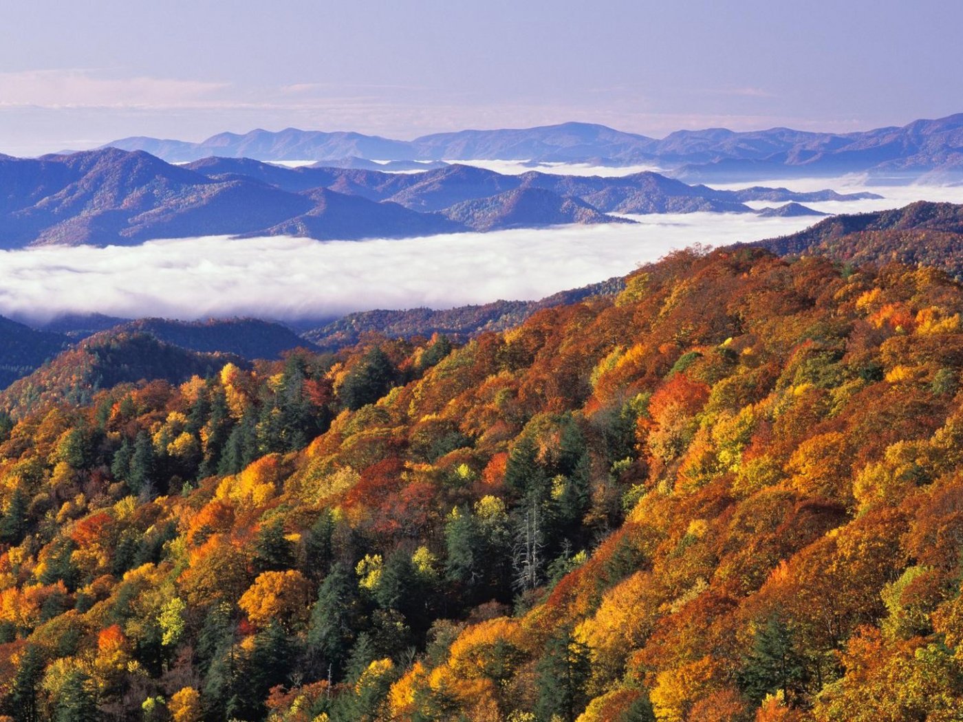 Обои деревья, горы, лес, пейзаж, осень, great smoky mountains national park, trees, mountains, forest, landscape, autumn разрешение 1920x1080 Загрузить