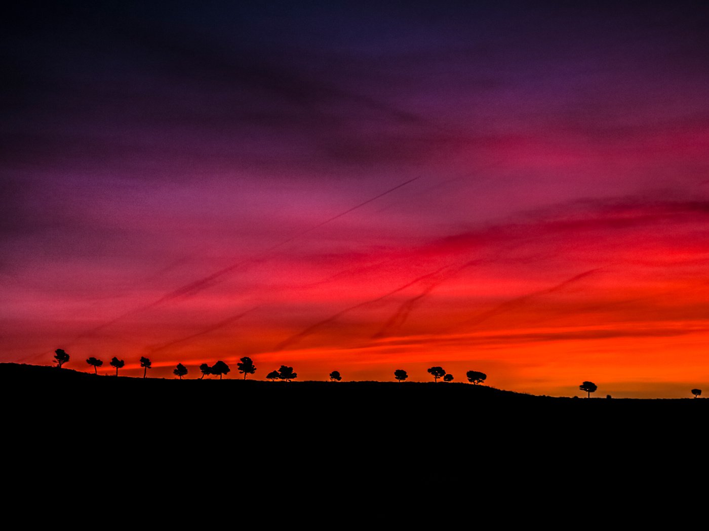 Обои небо, деревья, закат, горизонт, силуэт, the sky, trees, sunset, horizon, silhouette разрешение 4608x3072 Загрузить