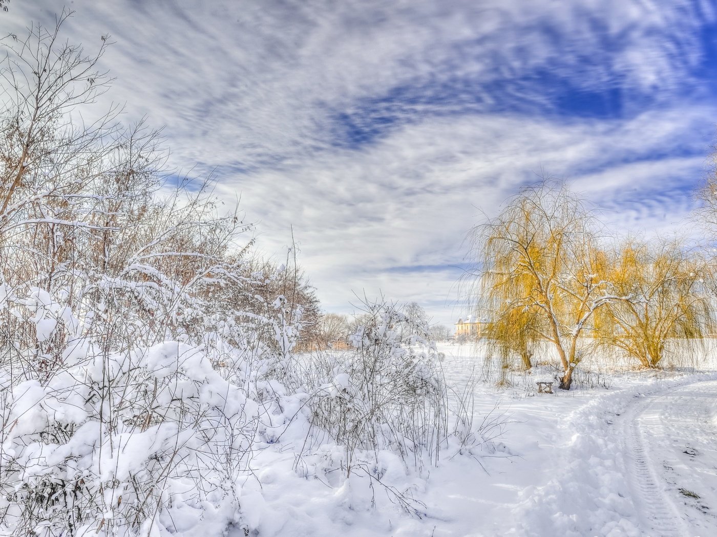 Обои дорога, деревья, снег, зима, пейзаж, road, trees, snow, winter, landscape разрешение 2560x1600 Загрузить