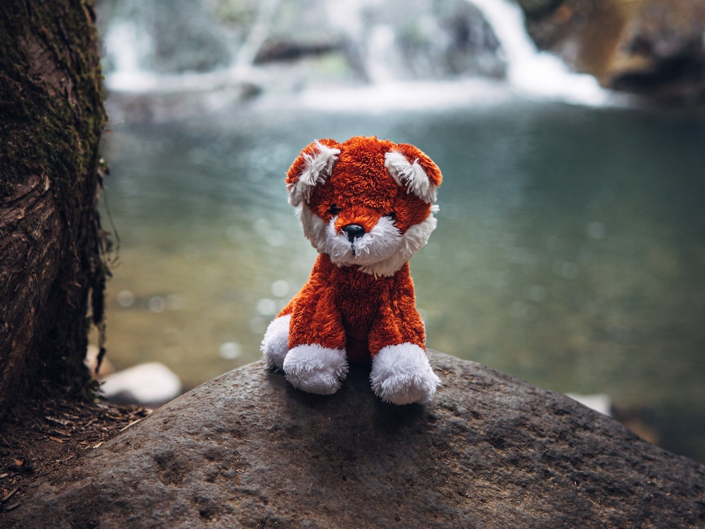 Обои водопад, игрушка, камень, мягкая игрушка, waterfall, toy, stone, soft toy разрешение 3840x2400 Загрузить