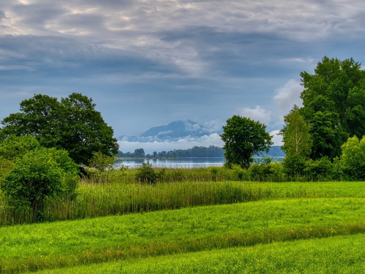 Обои трава, деревья, озеро, река, природа, лес, поле, луг, grass, trees, lake, river, nature, forest, field, meadow разрешение 5065x2848 Загрузить