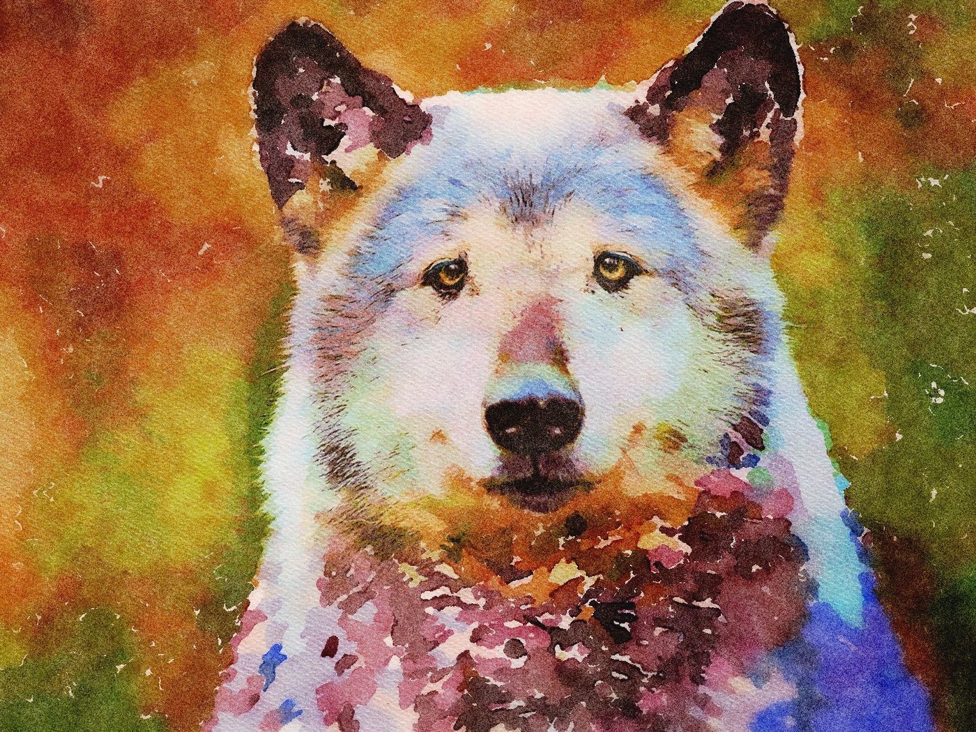 Обои морда, рисунок, хищник, животное, волк, face, figure, predator, animal, wolf разрешение 1920x1080 Загрузить