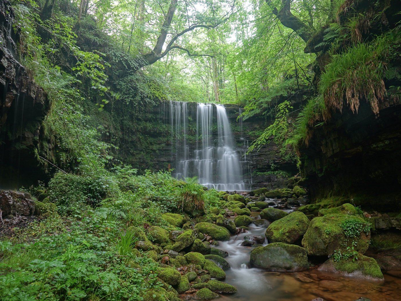 Обои деревья, природа, камни, лес, водопад, trees, nature, stones, forest, waterfall разрешение 5120x3593 Загрузить