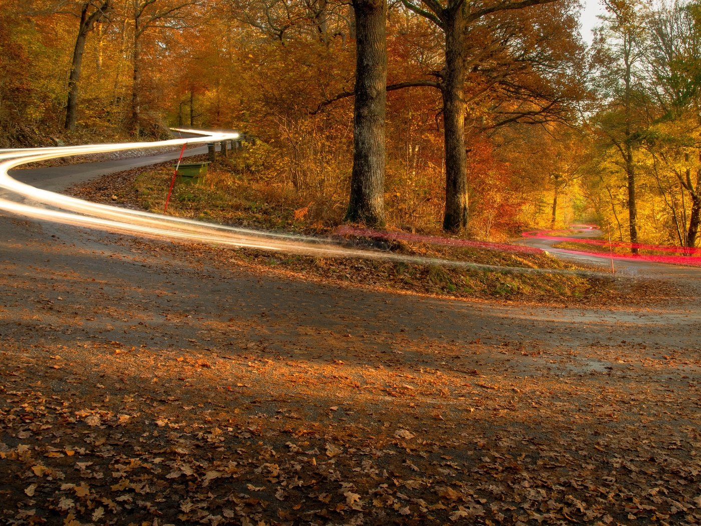 Обои дорога, огни, осень, road, lights, autumn разрешение 3840x2160 Загрузить