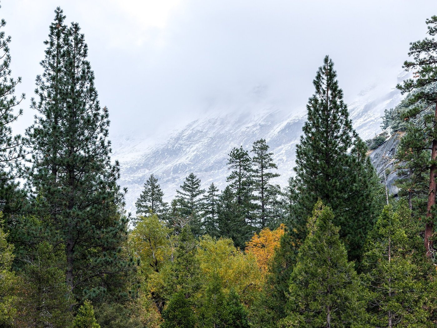 Обои сша, йосемити, национальный парк, сьерра-невада, usa, yosemite, national park, sierra nevada разрешение 2048x1365 Загрузить