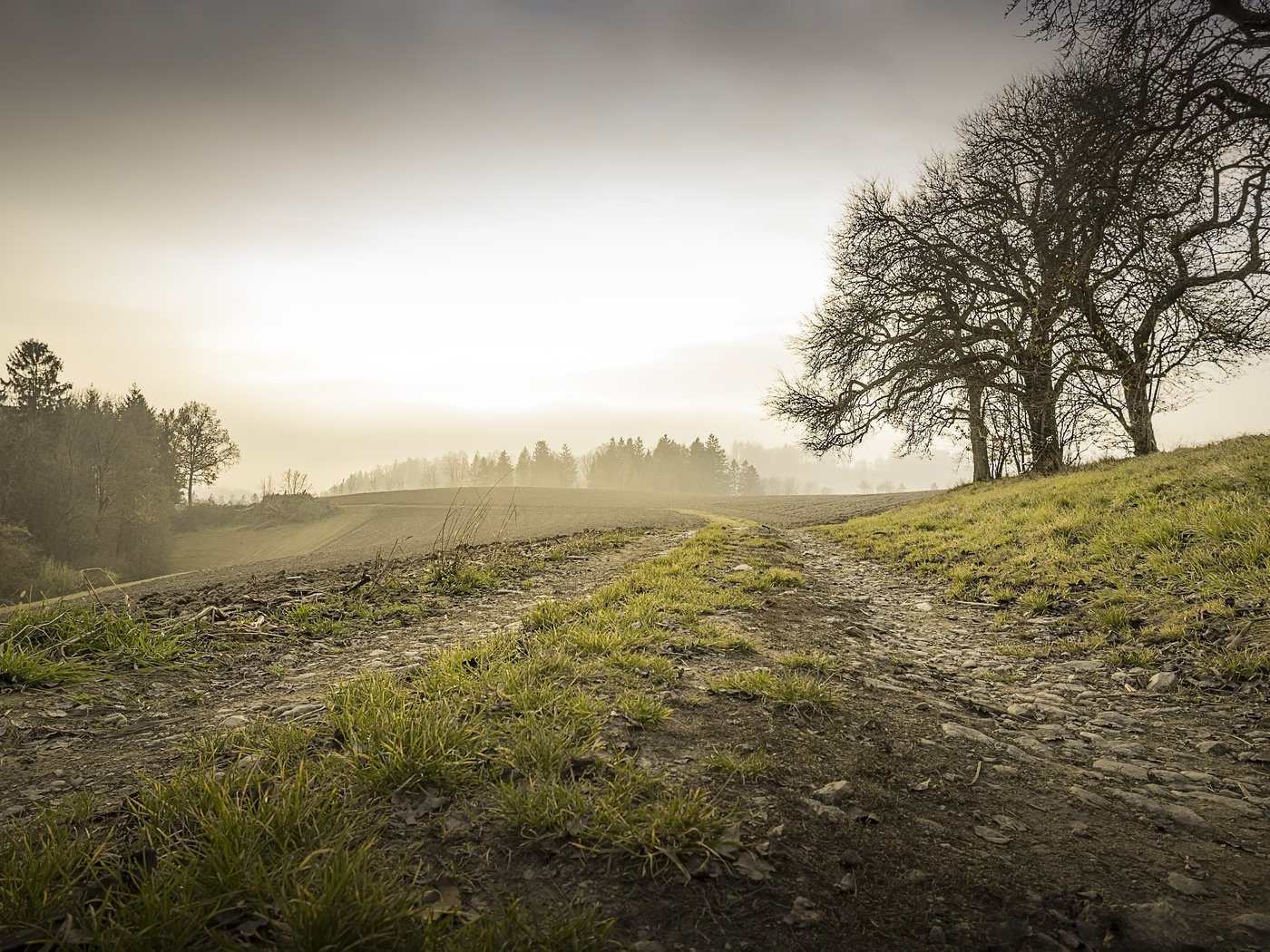 Обои утро, туман, осень, morning, fog, autumn разрешение 3052x1705 Загрузить