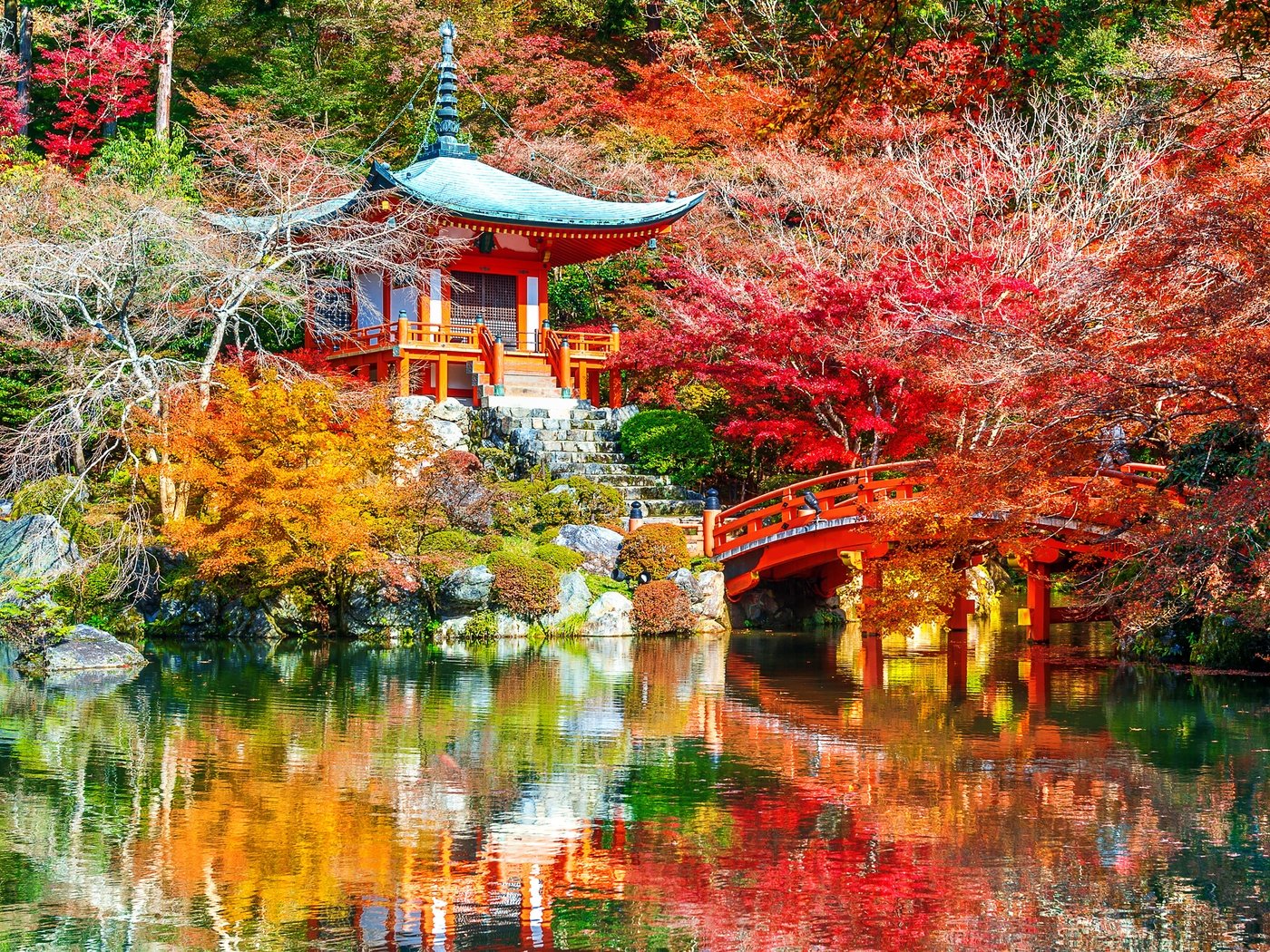 Обои деревья, листья, парк, киото, японии, trees, leaves, park, kyoto, japan разрешение 4928x3280 Загрузить