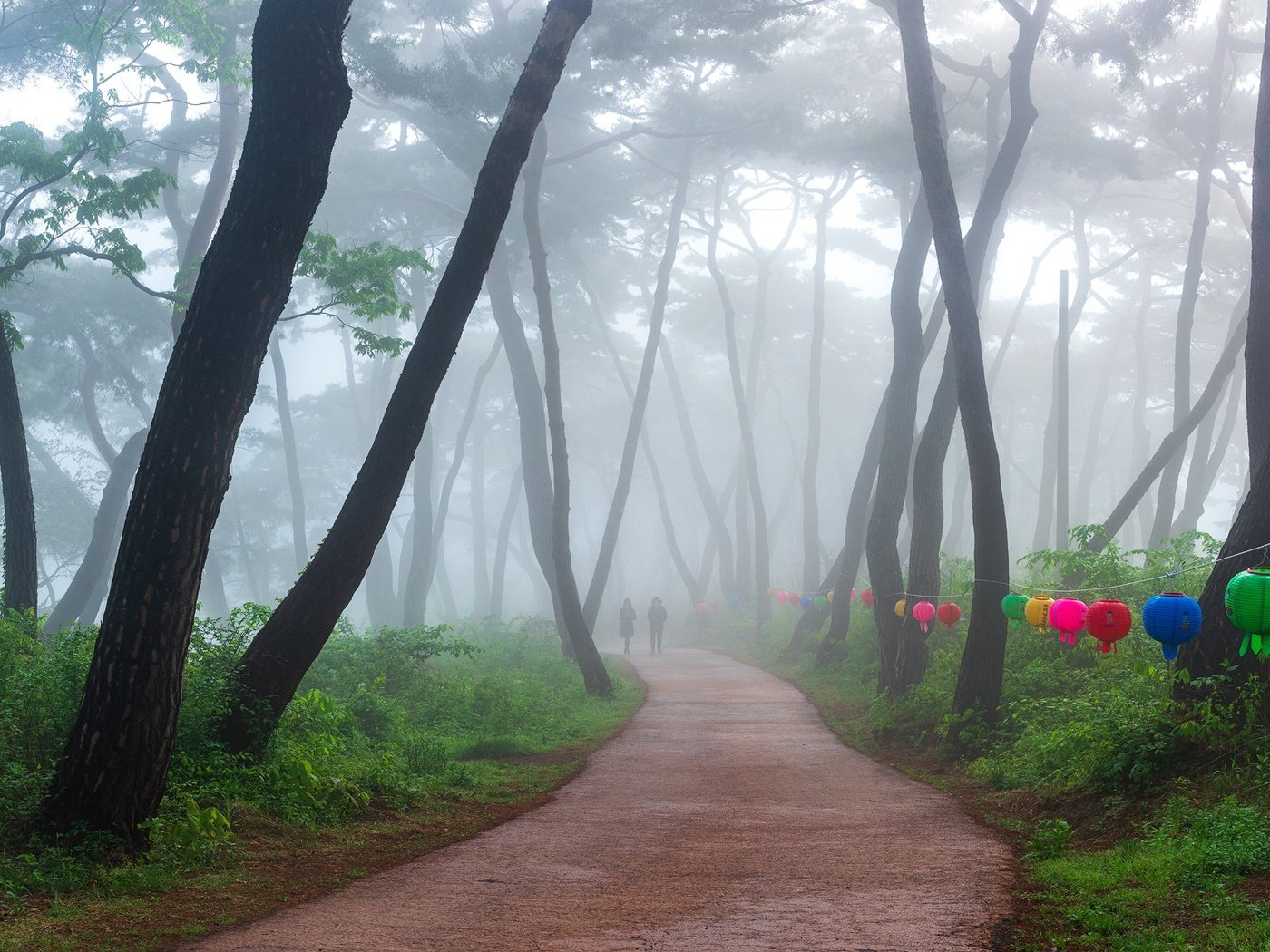 Обои деревья, парк, туман, дорожка, люди, фонарики, trees, park, fog, track, people, lanterns разрешение 2000x1169 Загрузить