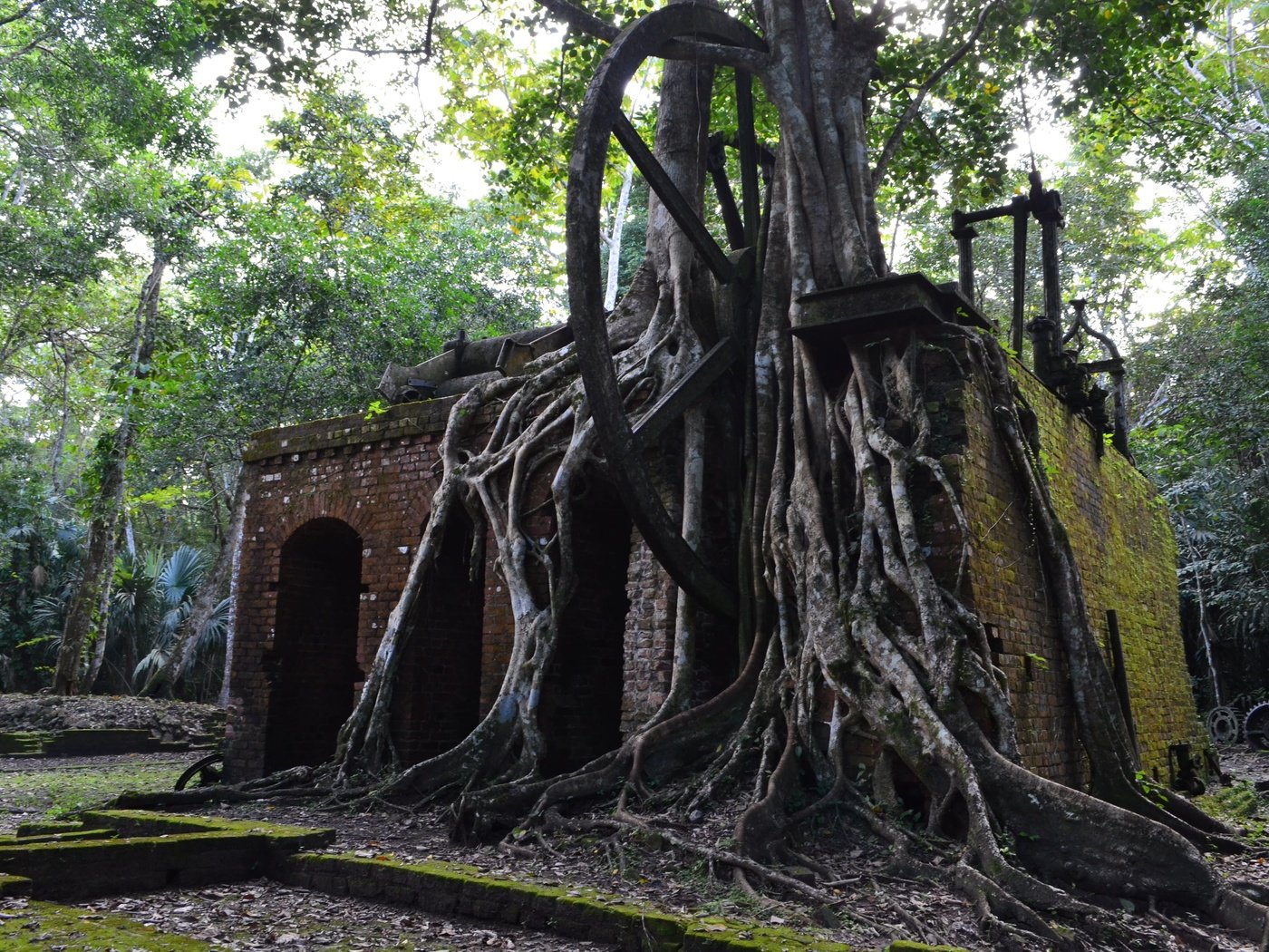 Обои деревья, руины, архитектура, корни, камбоджа, trees, ruins, architecture, roots, cambodia разрешение 4928x3264 Загрузить