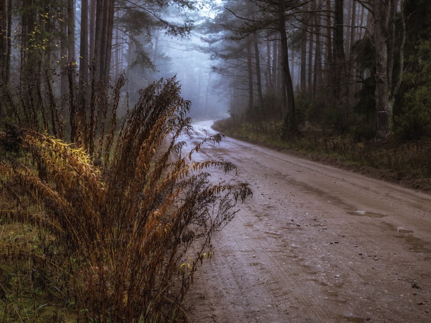 Обои дорога, осень, road, autumn разрешение 3840x2160 Загрузить