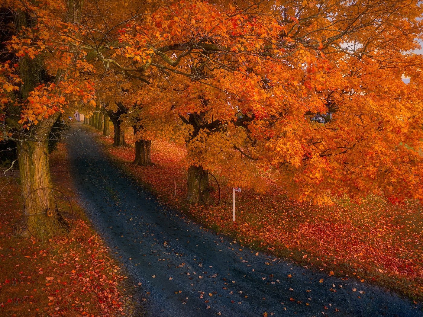 Обои дорога, природа, осень, road, nature, autumn разрешение 2048x1364 Загрузить