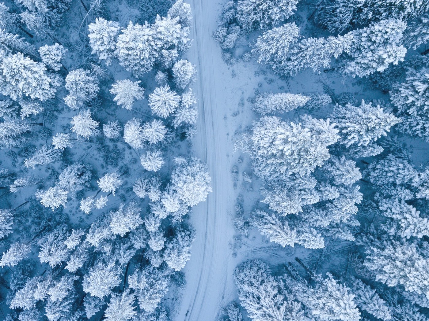 Обои дорога, снег, лес, зима, ели, заснеженный, road, snow, forest, winter, ate, snowy разрешение 3200x1800 Загрузить