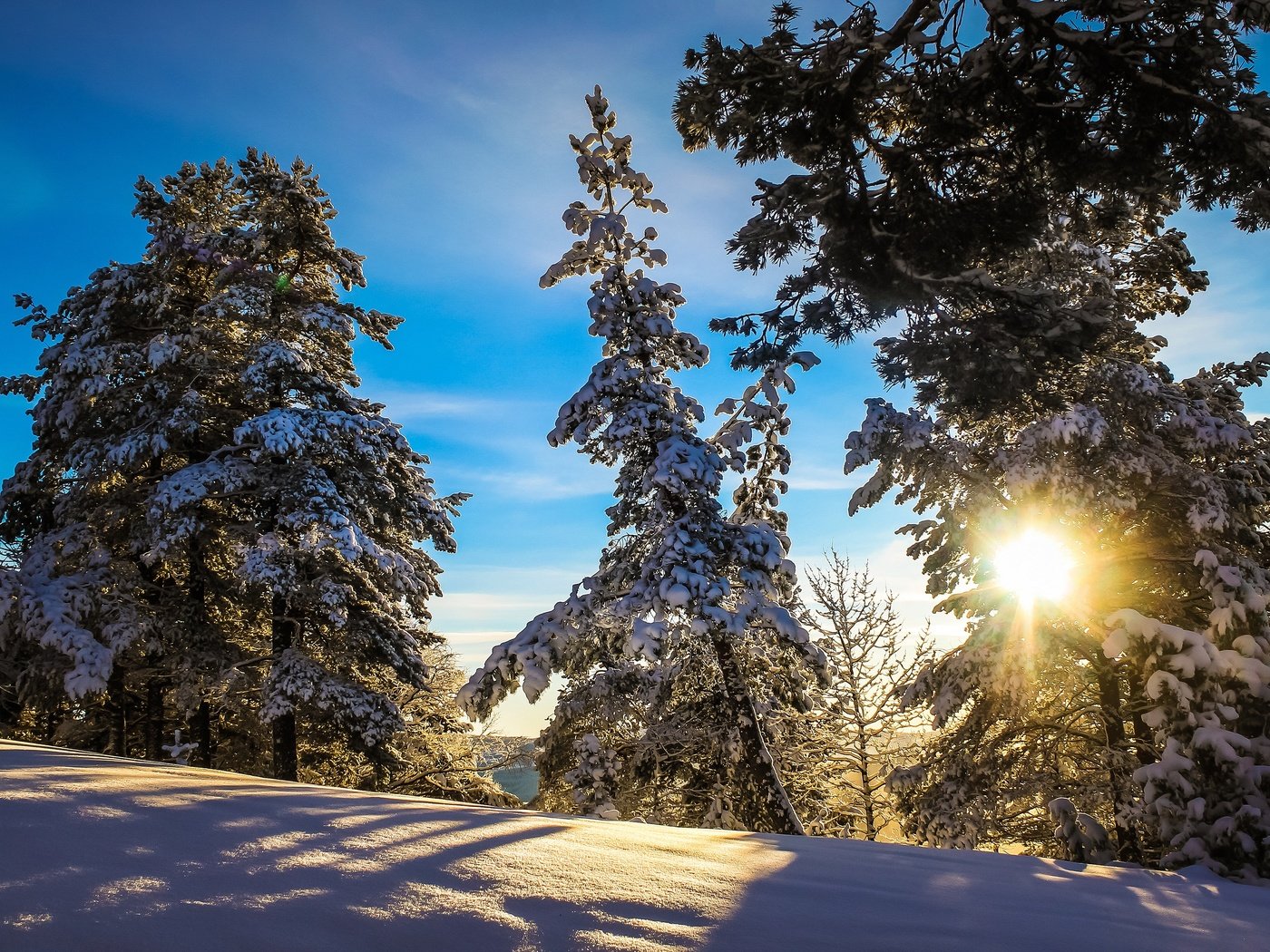 Обои солнце, снег, лес, зима, тень, солнечный свет, the sun, snow, forest, winter, shadow, sunlight разрешение 3840x2160 Загрузить