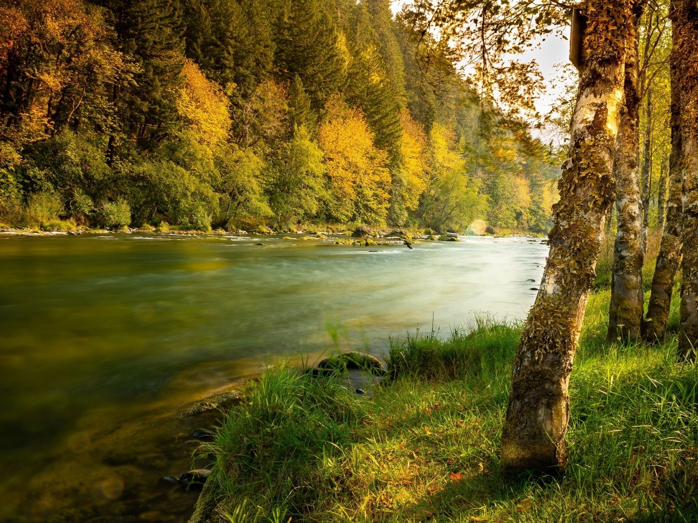 Обои трава, деревья, река, природа, лес, пейзаж, осень, берега, grass, trees, river, nature, forest, landscape, autumn, bank разрешение 2300x1476 Загрузить