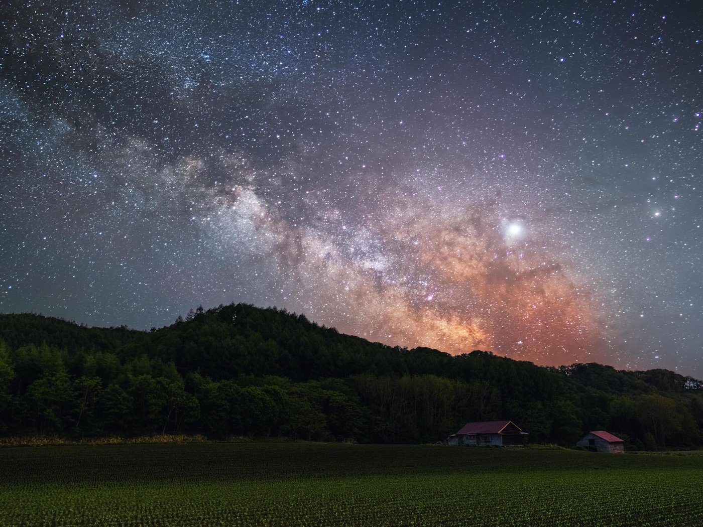 Обои ночь, пейзаж, поле, япония, звездное небо, млечный путь, night, landscape, field, japan, starry sky, the milky way разрешение 3840x2400 Загрузить