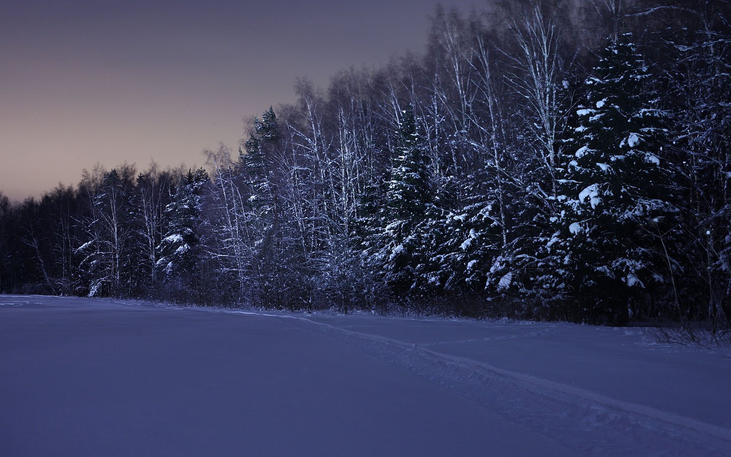 Обои ночь, снег, лес, зима, night, snow, forest, winter разрешение 1920x1280 Загрузить