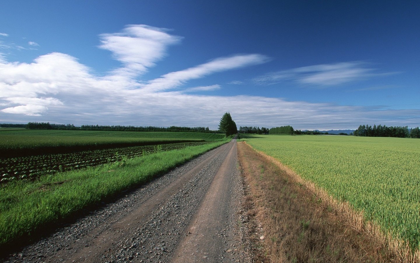 Обои дорога, облака, деревья, поле, road, clouds, trees, field разрешение 1920x1440 Загрузить