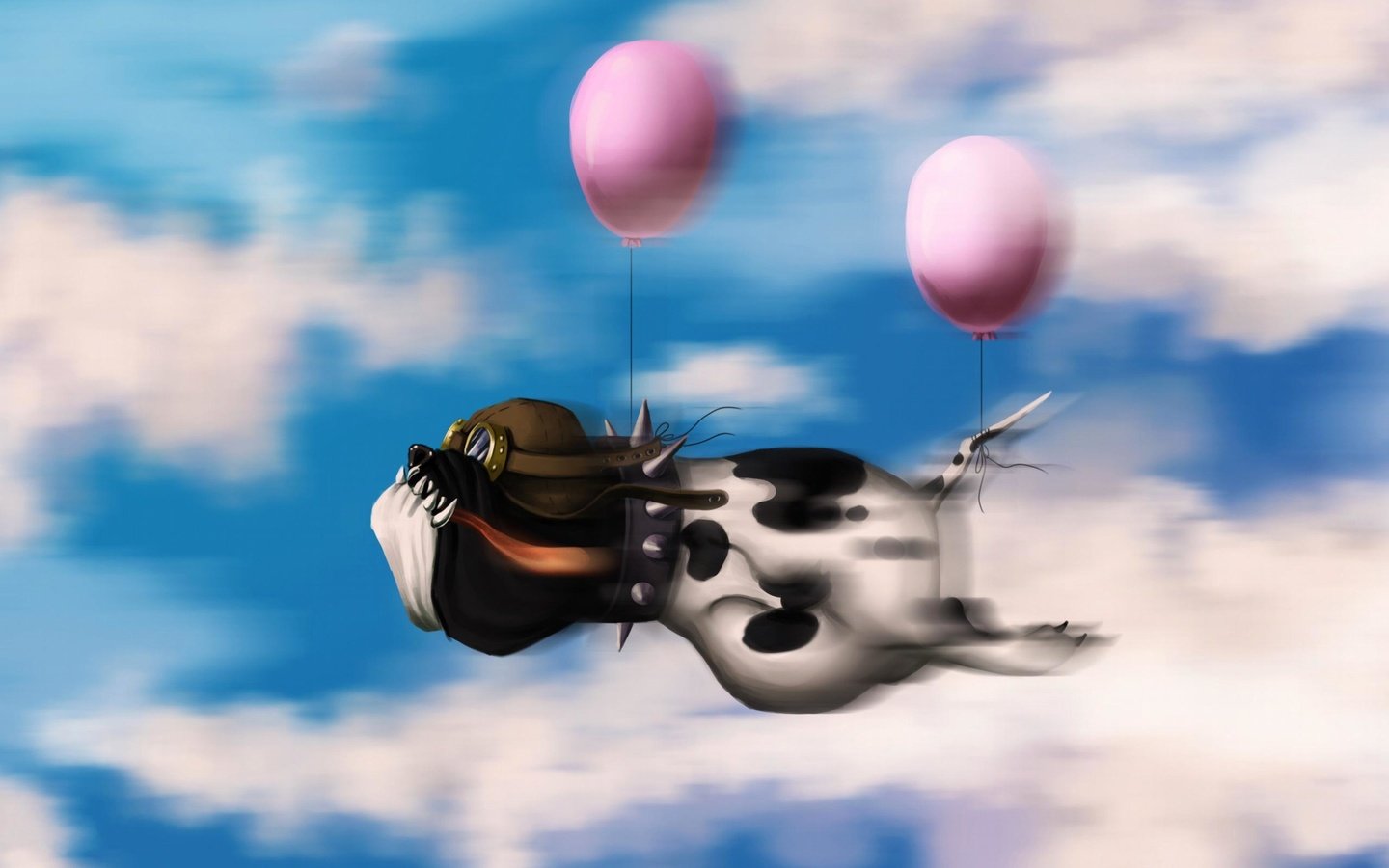 Обои небо, облака, пилот, полет, собака, воздушные шары, the sky, clouds, pilot, flight, dog, balloons разрешение 2560x1600 Загрузить