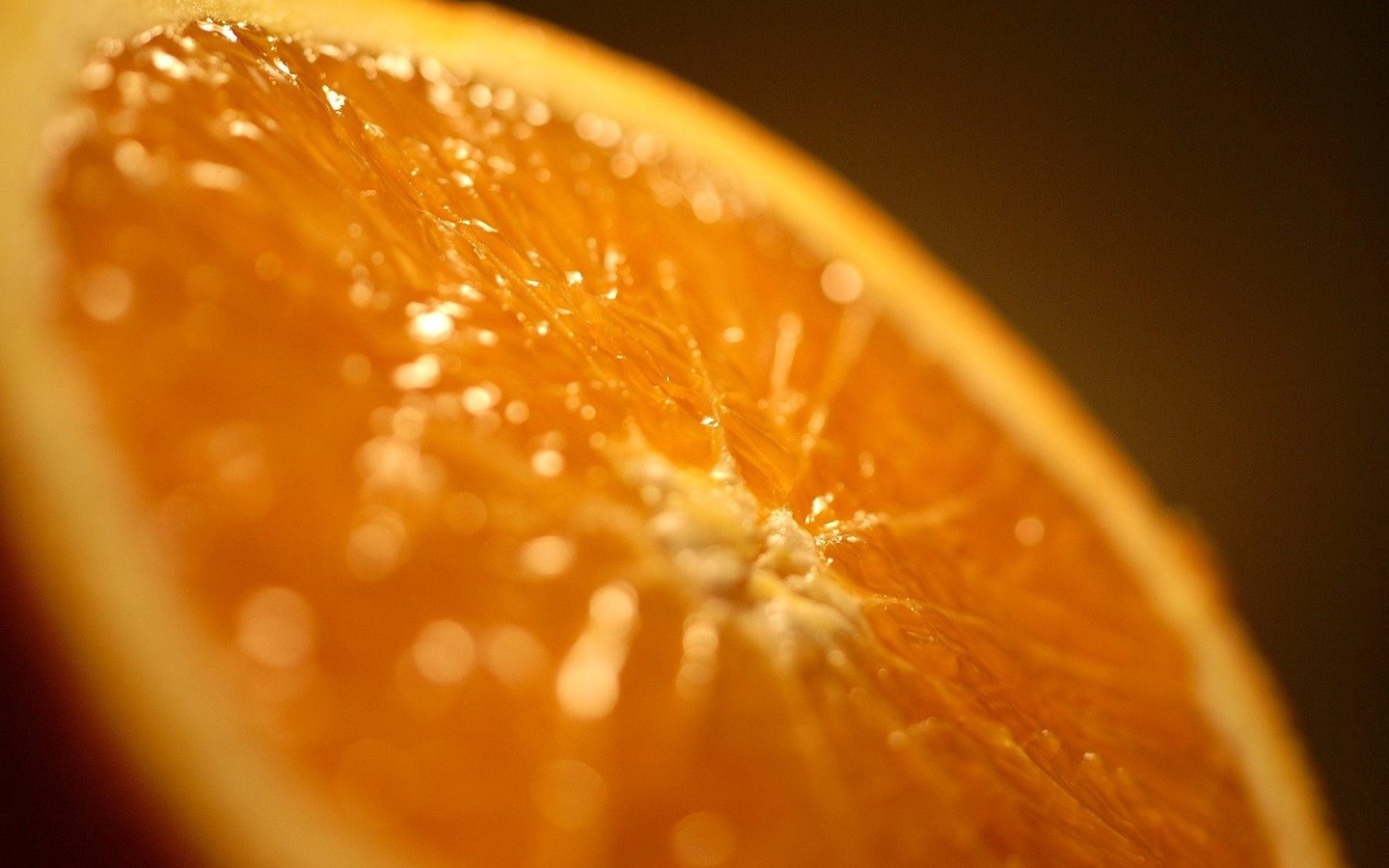 Обои оранжевый, апельсин, цитрус, oranzhevyj, apelsin, orange, citrus разрешение 1920x1285 Загрузить