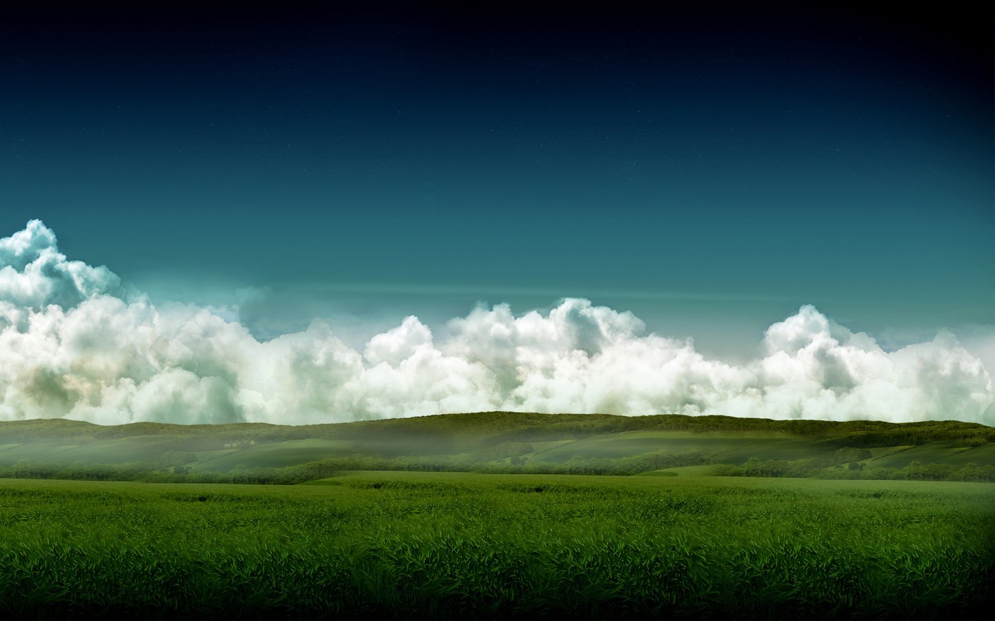 Обои небо, трава, поле, небеса, the sky, grass, field, heaven разрешение 2560x1600 Загрузить