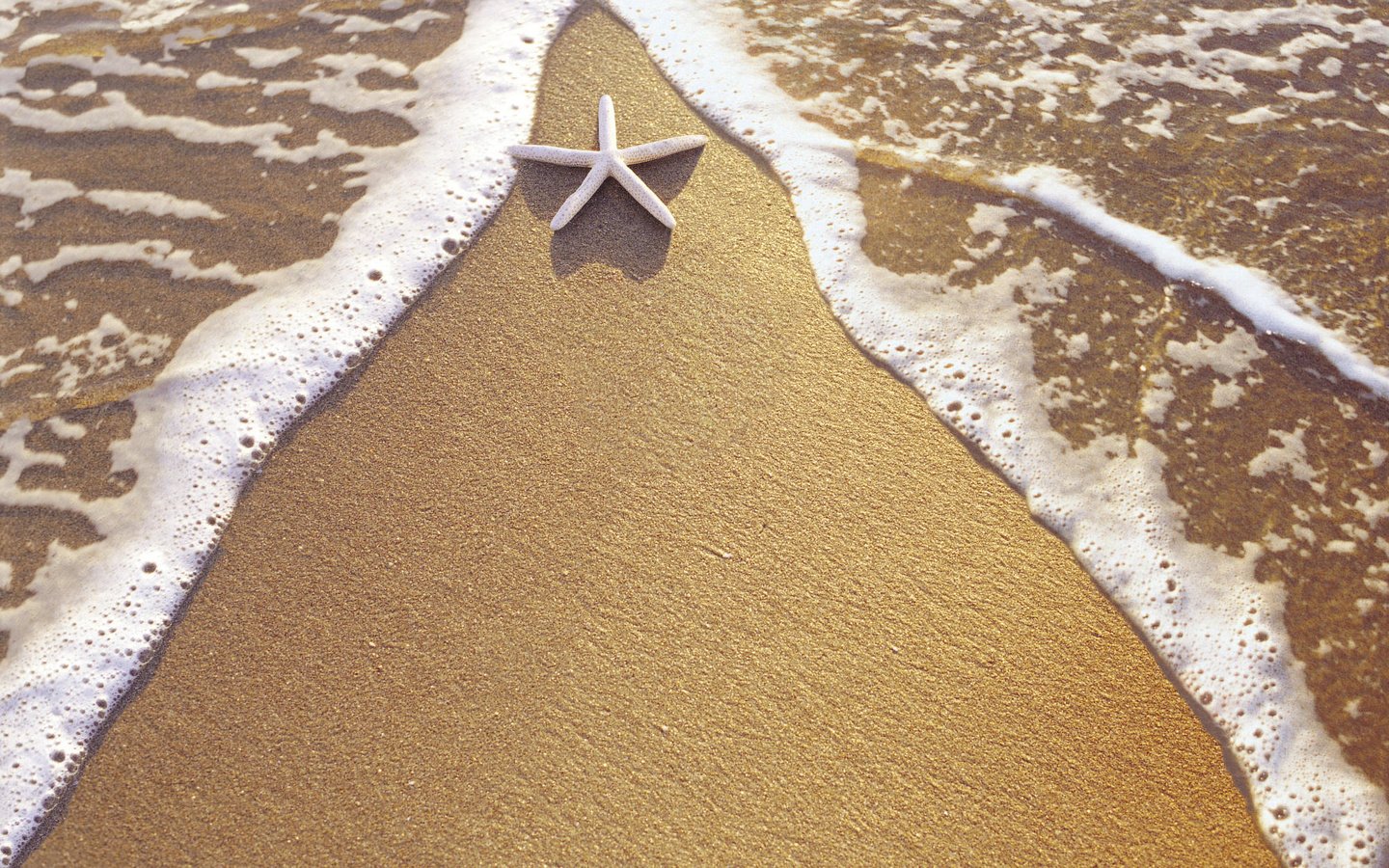 Обои вода, берег, песок, звезда, water, shore, sand, star разрешение 2000x1333 Загрузить